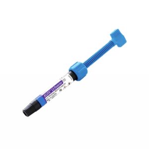 Aelite LS Posterior Bisco