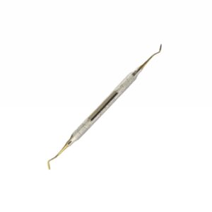 Anterior P Bisco