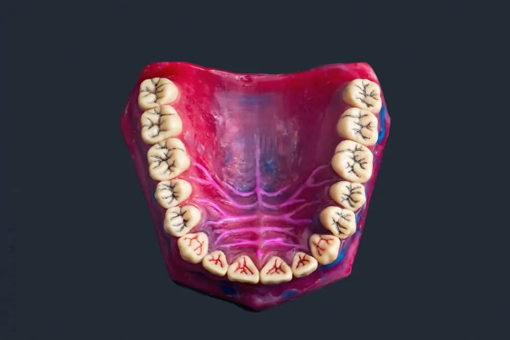 وبلاگ آپتودنت | انواع موم های دندانسازی