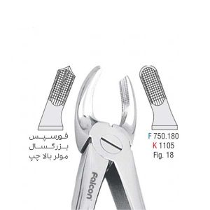 فورسپس بزرگسال مولر بالا چپ - کوشا