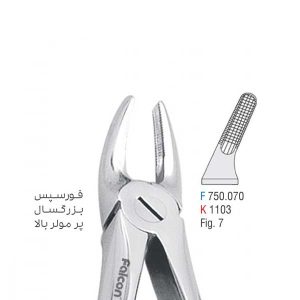 فورسپس بزرگسال پرمولر بالا - falcon